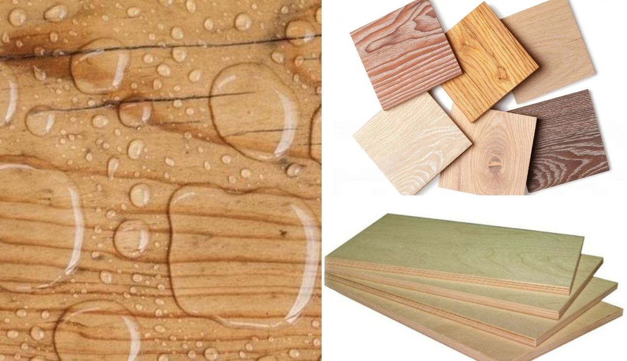 Ván plywood chống nước